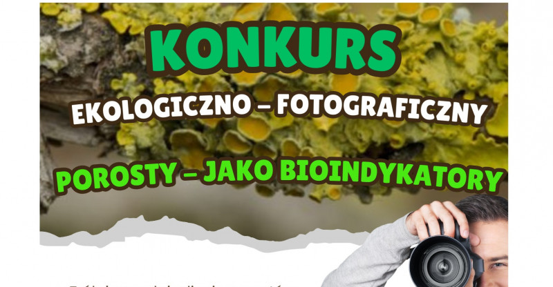 Miniatura artykułu: 4788