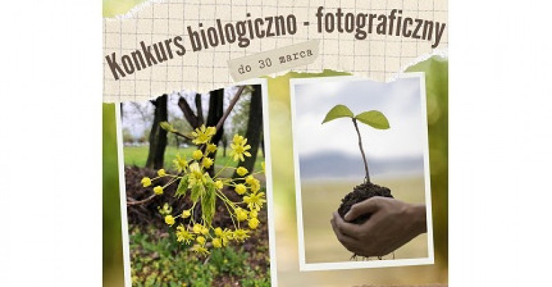 Miniatura artykułu: 4768