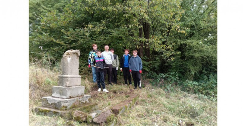 Miniatura artykułu: 4357